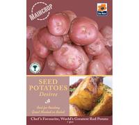 Seed Potatoes, Grow Your Own delicious potatoes (Desiree Main crop)