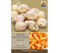 Seed Potatoes, Grow Your Own delicious potatoes (Kestrel Second earlies)