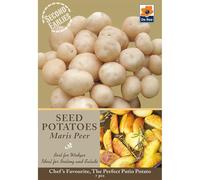 Seed Potatoes, Grow Your Own delicious potatoes (Maris Peer Second earlies)