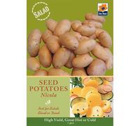 Seed Potatoes, Grow Your Own delicious potatoes (Nicola Salad potatoes)