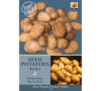 Seed Potatoes, Grow Your Own delicious potatoes (Rocket First earlies)
