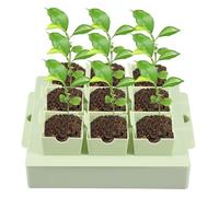 Seed Starter Tray with Handle Drainage Holes 9 Deep 2.3" Cells Germination Trays Kit Transplanting Seeds Starter Trays Nursery Growing Plants Propagation Germination for Indoor Outdoor