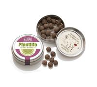 Seedball Easy Grow Wildflowers Outdoor PlantLife Mix Gardening Gift