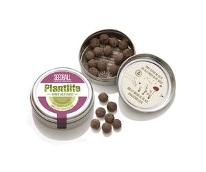 Seedball Easy Grow Wildflowers Outdoor PlantLife Mix Gardening Gift