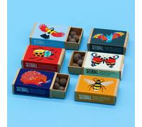 SEEDBALL Garden Wildlife Wildflower Seed Box Collection - Wildlife Collection