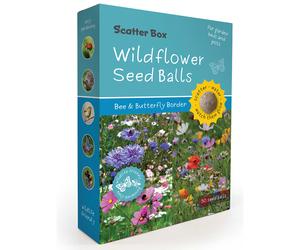 Seedball Scatter Box - Bee Butterfly Border