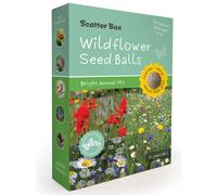 Seedball Scatter Box - Bright Annual