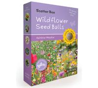 Seedball Scatter Box - Rainbow Meadow