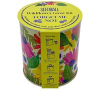 Seedball Wildflower Grow Kit - Forget-Me-Not