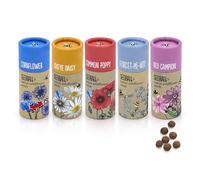SEEDBALL Wildflower Seed Bombs (Set of 5, 20 Balls Per Tube) | Bee Friendly British Wild Flower Seeds - Poppy, Cornflower, Oxeye Daisy, Red Campion & Forget-Me-Not for Garden Wildlife - Gardening Gift
