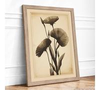 Seedheads in Antiquity Botanical Framed Wall Art Print A1 (84.1×59.4cm) Oak, Wall Decor for Living Room, Bedroom, Office & Home, Ready to Hang, Art Gift