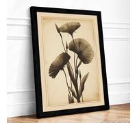 Seedheads in Antiquity Botanical Framed Wall Art Print A2 (59.4×42cm) Black, Wall Decor for Living Room, Bedroom, Office & Home, Ready to Hang, Art Gift