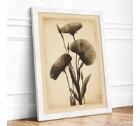 Seedheads in Antiquity Botanical Framed Wall Art Print A3 (42×29.7cm) White, Wall Decor for Living Room, Bedroom, Office & Home, Ready to Hang, Art Gift