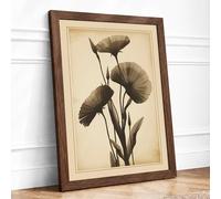 Seedheads in Antiquity Botanical Framed Wall Art Print A4 (29.7×21cm) Walnut, Wall Decor for Living Room, Bedroom, Office & Home, Ready to Hang, Art Gift