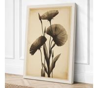Seedheads in Antiquity Canvas Wall Art Print 30x20 Inch (76 x 51 cm)