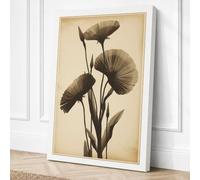 Seedheads in Antiquity Canvas Wall Art Print 36x24 Inch (91 x 61 cm)