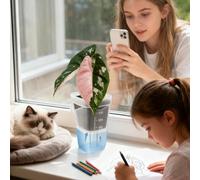 Seedling Box, Intelligent Self-Priming Water System, 9.5x4.6cm, Mini Self Watering Pots, Small Clear Plas Tic Planter, Root Growth Monitoring, For Home Indoor Outdoor Window Garden