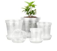 Seedling Pots, 20-Pieces Transparent with Drainage and Saucers, Vegetable Nursing Pots, Seedling Growing Containers, Ideal for Tomatoes, Orchids, Flowers, Succulents, Cactus, Carrots