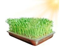 Seedling Starter Tray - Stainless Steel Frame, Integrated Mesh Layer, Efficient Water Drainage, Large Capacity Design | Garden Plant Growing Grass Bean Sprouts Grow Indoor and Outdoor