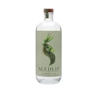 Seedlip Garden 108 / Non-Alcoholic Spirit
