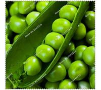 Seeds. 10pcs Bonsai of The Organic Pea Super Cake Green Arrow Arrow Bean Vegetables heerloom Vegetable peas Vegetables of Resistant Cold Garden Plants