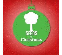 Seeds Family Worship - Seeds Family Worship - Seeds Of Christmas EP - Christmas music with lyrics directly from the Bible!