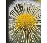 Seeds of Intention Dandelion Notebook: College Ruled | 120 Pages | 7.5 X 9.25 | Minimalist Floral Journal, Notebook for Writing, School, Reflection