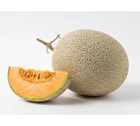 Seeds of Netted Melon | High Germination Rate | melon Sweet and Scented | Ideal for Vegetable Garden, Garden and Pot | Seeds Natural Non-GMO Made in Italy