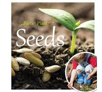 Seeds (Parts of a Plant)
