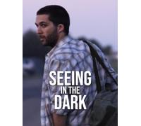 Seeing in the Dark