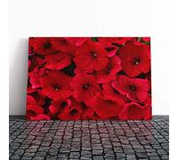 Seeing Red Flowers Canvas Print | Gallery Wrapped 30mm Frame Wall Art | 24x16 inches | Ready to Hang | Modern Floral Picture | Living Room Bedroom Lounge Office