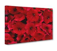Seeing Red Flowers Canvas Print | Gallery Wrapped 30mm Frame Wall Art | 24x16 inches | Ready to Hang | Modern Floral Picture | Living Room Bedroom Lounge Office