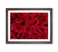 Seeing Red Flowers Modern Framed Print | A4 Walnut Framed Wall Art | Ready to Hang | Modern Floral Picture | Living Room Bedroom Lounge Office