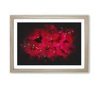 Seeing Red Flowers Paint Splash Framed Print | A2 Oak Framed Wall Art | Ready to Hang | Modern Floral Picture | Living Room Bedroom Lounge Office