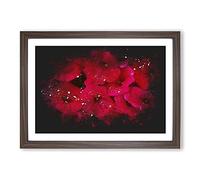 Seeing Red Flowers Paint Splash Framed Print | A2 Walnut Framed Wall Art | Ready to Hang | Modern Floral Picture | Living Room Bedroom Lounge Office