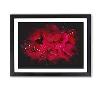 Seeing Red Flowers Paint Splash Modern Art Framed Print | A2 Black Framed Wall Art | Ready to Hang | Modern Floral Picture | Living Room Bedroom Lounge Office