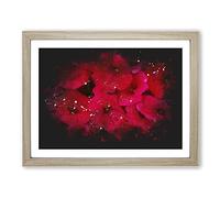 Seeing Red Flowers Paint Splash Modern Art Framed Print | A2 Oak Framed Wall Art | Ready to Hang | Modern Floral Picture | Living Room Bedroom Lounge Office