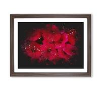 Seeing Red Flowers Paint Splash Modern Art Framed Print | A3 Walnut Framed Wall Art | Ready to Hang | Modern Floral Picture | Living Room Bedroom Lounge Office