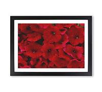 Seeing Red Flowers Painting Framed Print | A2 Black Framed Wall Art | Ready to Hang | Modern Floral Picture | Living Room Bedroom Lounge Office