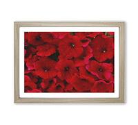 Seeing Red Flowers Painting Framed Print | A2 Oak Framed Wall Art | Ready to Hang | Modern Floral Picture | Living Room Bedroom Lounge Office