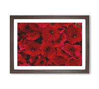 Seeing Red Flowers Painting Framed Print | A2 Walnut Framed Wall Art | Ready to Hang | Modern Floral Picture | Living Room Bedroom Lounge Office