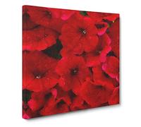 Seeing Red Flowers Painting Modern Canvas Wall Art Print Ready to Hang, Framed Picture for Living Room Bedroom Home Office Décor, 14x14 Inch (35x35 cm)