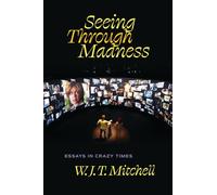 Seeing Through Madness: Essays in Crazy Times