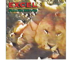 Seeking Refuge by Excel