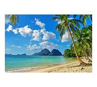 SeekPro 5x3ft Summer Tropical Beach Backdrop Seaside Island Palm Trees Photography Background for Picture Blue Sea Sky Sunshine Luau Themed Party Decorations Photo Booth Studio Props SK1221A