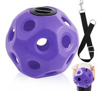 Seenelling 15.75" Hay Ball for Horse with Hanging Strap Slow Feed Horse Treat Ball Extra Large Hanging for Paddock Stall Stable Supplies (Purple)