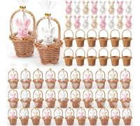 Seenelling 24 Set/ 72 Pcs Easter Gifts Bulk Include 24 Mini Bunny, 24 Basket, 24 Clear Gift Bags, Rabbit Theme Team Appreciation Gift for Coworker Easter Basket, Bunny Party Favors