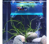 SeeShelter Brand Betta Tunnel (Translucent Aqua)