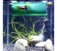 SeeShelter Brand Betta Tunnel (Translucent Dark Green)