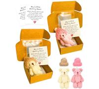 SEESUNO 2 PCS Bear in a Box Set, Little Pocket Worry Bear Hug with 2 Hats 2 Cards 2 Box for Family Friends Thinking of You Gifts(White + Pink)